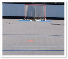 Inline Hockey Backyard