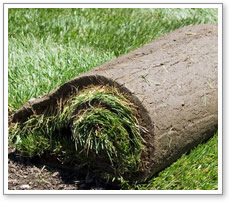 Sod installation services in Maryland