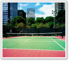 Backyard and Professional Tennis Courts